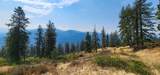 tbd Suttler Creek Rd - Photo 10