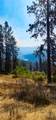 tbd Suttler Creek Rd - Photo 11