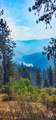 tbd Suttler Creek Rd - Photo 12