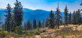 tbd Suttler Creek Rd - Photo 3
