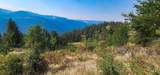 tbd Suttler Creek Rd - Photo 8