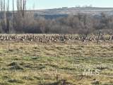2925 1050 E - Photo 21