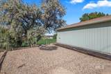 31211 Apple Valley Road - Photo 28