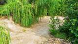 TBD River Rd - Photo 7