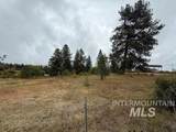 207 Mule Deer Drive - Photo 15