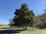 13761 Asotin Creek Rd - Photo 4