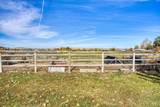 425 Peach Rd - Photo 34