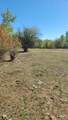 TBD Goodrich Creek Rd. - Photo 13