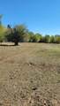 TBD Goodrich Creek Rd. - Photo 14