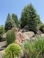 1184 Rio Chico Dr. - Photo 4
