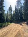 2857 Hillman Basin Rd - Photo 23