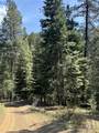 2857 Hillman Basin Rd - Photo 32