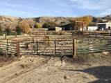 3405 Elk Horn Ln - Photo 16