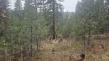 Lot 4 Boise Holcomb #3 - Photo 1