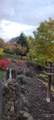 204 Larradon Dr - Photo 49