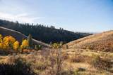 TBD Tbd Entire Ranch - Photo 44