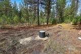 2753 Pine Drive - Photo 42