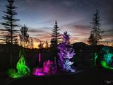1265 Diadora Ave - Photo 43