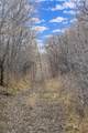 2050 Medicine Wheel Ln - Photo 47