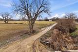 16921 Oasis Rd. - Photo 46