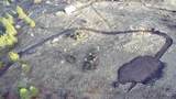 TBD Canyon Dr - Photo 25