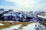 255 ac Fall Creek Rd - Photo 43