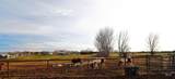 5367 Sand Hollow Rd - Photo 38