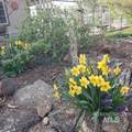 8502 Track Road - Photo 17