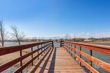 21600 Look Lane - Photo 42