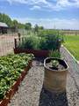 5408 Cassia Rd - Photo 45