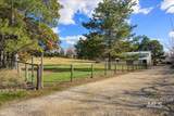 9091 Deer Lane - Photo 4
