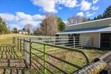 9091 Deer Lane - Photo 6