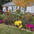 1346 7th Street - Photo 19