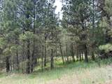Lot 1 Card Creek, Casey Estates#3 - Photo 22