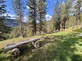 1320 Whitetail Dr - Photo 24