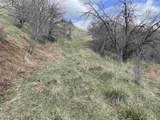 NKA Redemption Lane - Photo 12