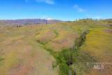 255 ac Fall Creek Road - Photo 15