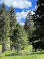 255 ac Fall Creek Road - Photo 41