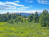 10342 Gamann Drive - Photo 5