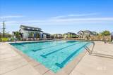 11328 Campanula Dr - Photo 42