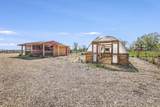 564 Blue Lakes Blvd - Photo 11