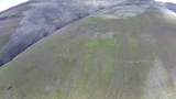 TBD Elk Horn - Photo 11