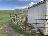 TBD Elk Horn - Photo 21