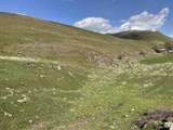 TBD Elk Horn - Photo 4