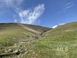 TBD Elk Horn - Photo 6