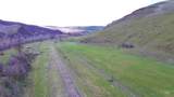 TBD Elk Horn - Photo 9