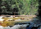 3869 Big Salmon River Rd - Photo 20