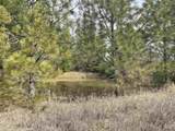 10749 Upper Fords Creek - Photo 14