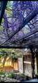 502 6th Street - Photo 28