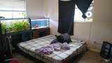403 - 405 Hazel St - Photo 14